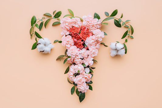 the female reproductive system, depicted as a delicate floral arrangement. This image represents the complex hormonal processes involved in menstruation, fertility, and menopause.